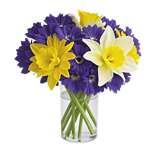 Petal Radiance Bliss