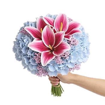 Blooming Serenity Display