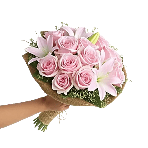 Pastel Pink Roses