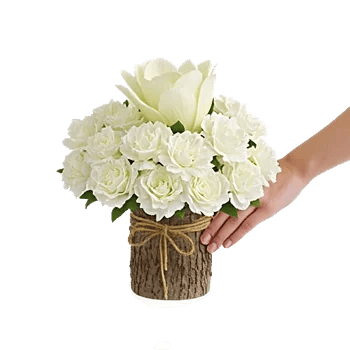 Modern White Orchids