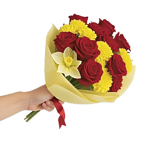 Crimson Rose Elegance