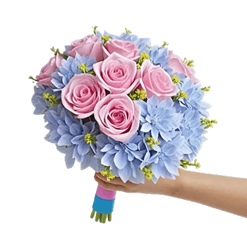 Serene Petal Harmony