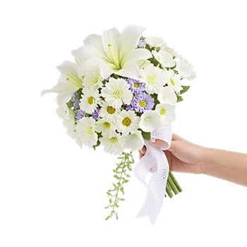 Minimalist White Orchids