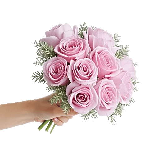 Pastel Pink Roses
