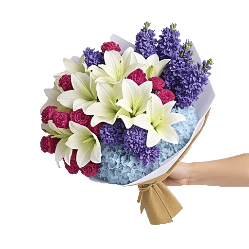 Blossom Harmony Display