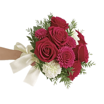 Crimson Rose Elegance