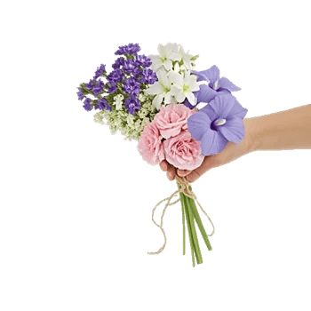 Blossom Petal Serenity