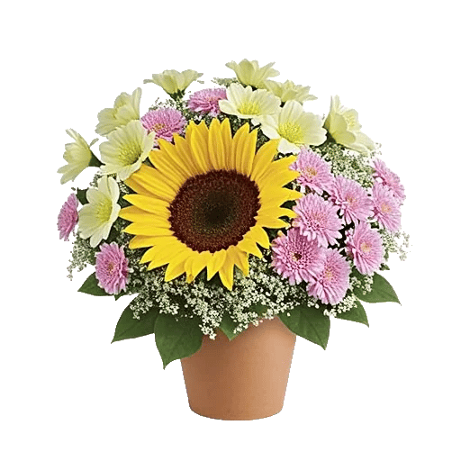 Amber Sunflower Glow