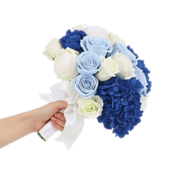 Serene Petal Harmony