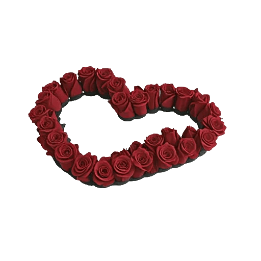Crimson Rose Elegance