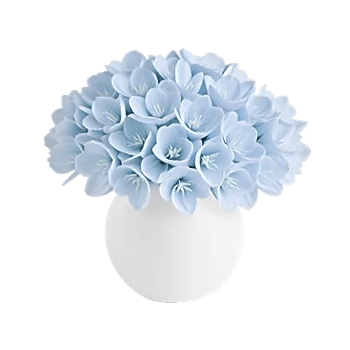 Ivory Blossom Radiance