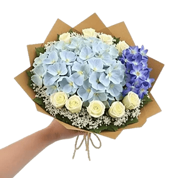 Serene Petal Harmony