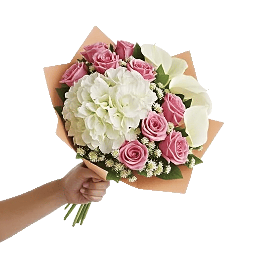 Serene Petal Harmony