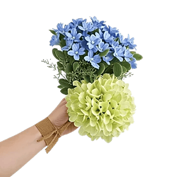 Sapphire Bloom Whisper