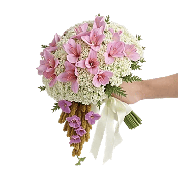 Delicate Petal Cascade