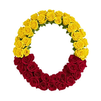 Radiant Rose Symphony