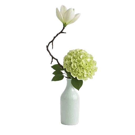 Cherry Blossom Magic