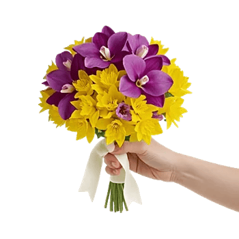 Serenity Orchid Bloom