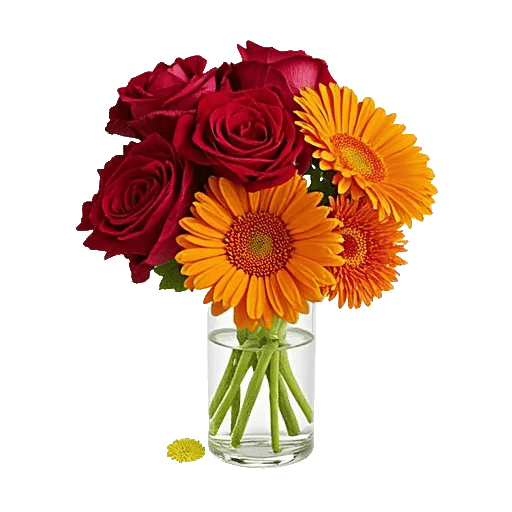 Petal Radiance Bliss