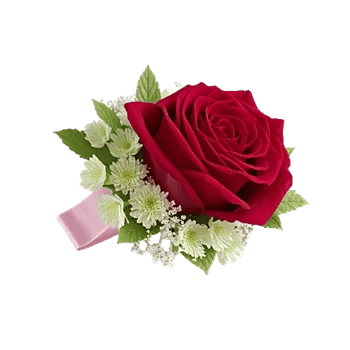 Crimson Rose Elegance