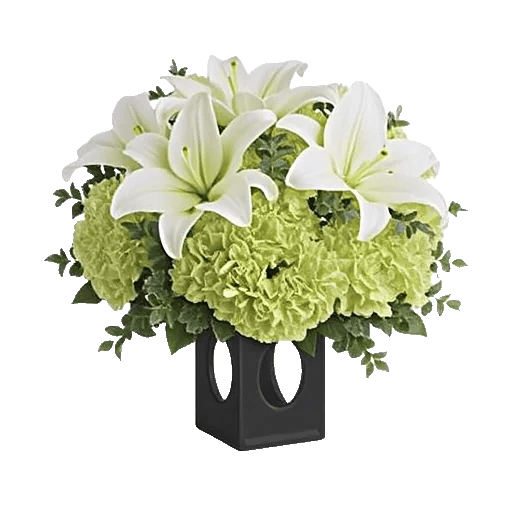 Ivory Blossom Radiance