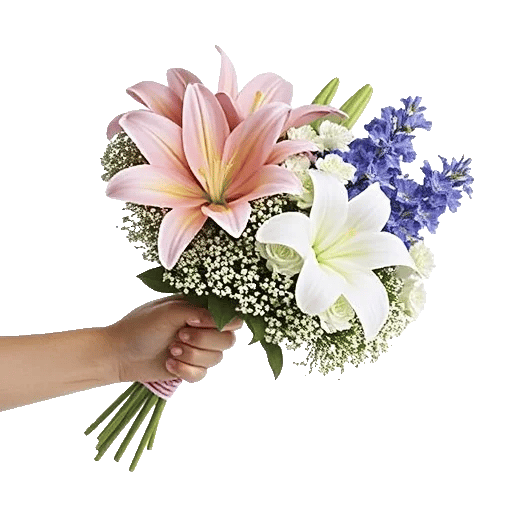 Blossom Petal Serenity