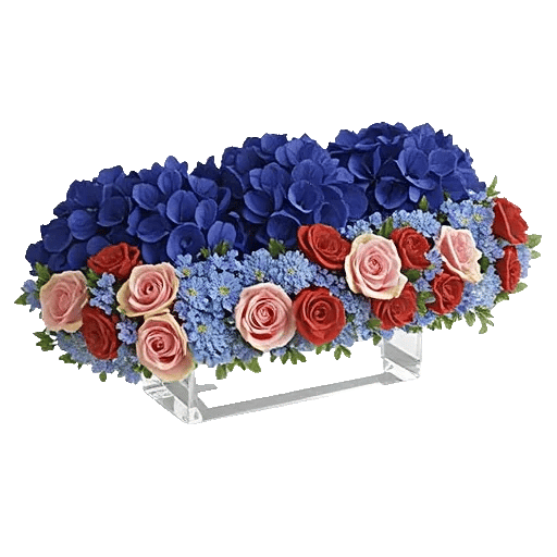 Sapphire Bloom Whisper