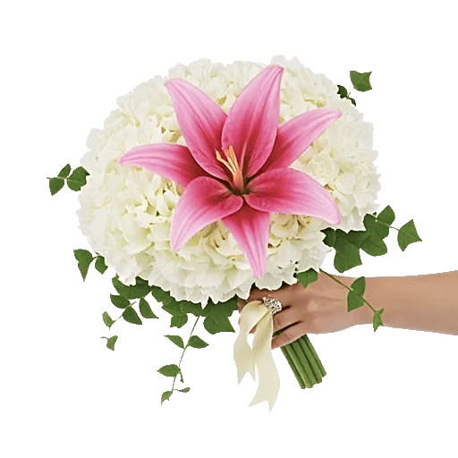 Ivory Blossom Radiance