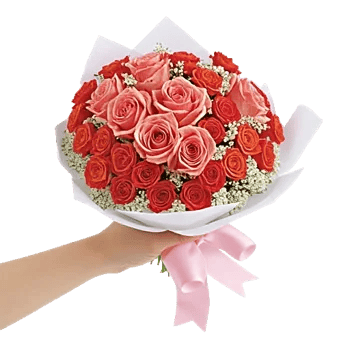 Blushing Rose Symphony