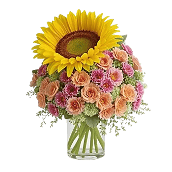 Golden Petal Harmony