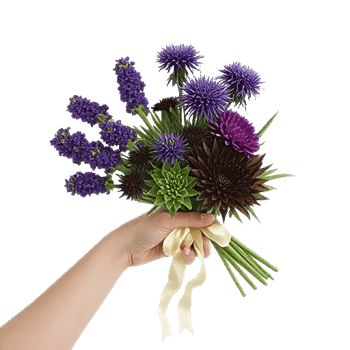 Crimson Blossom Harmony