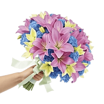 Blushing Rose Symphony