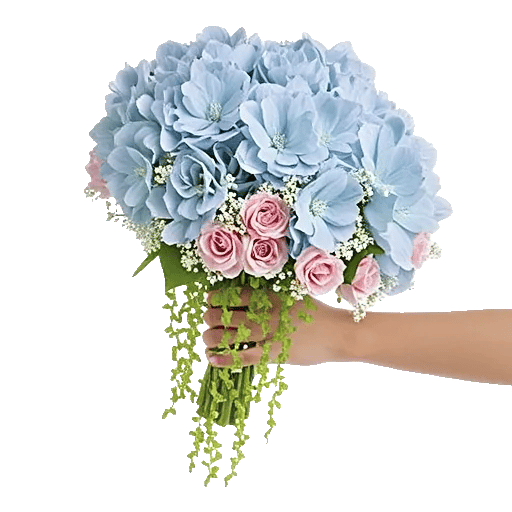 Delicate Petal Cascade