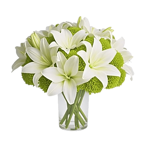 Graceful Lily Display