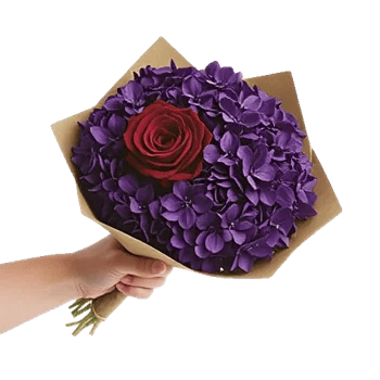 Crimson Rose Elegance