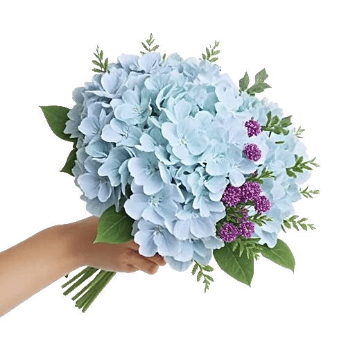Serene Petal Harmony