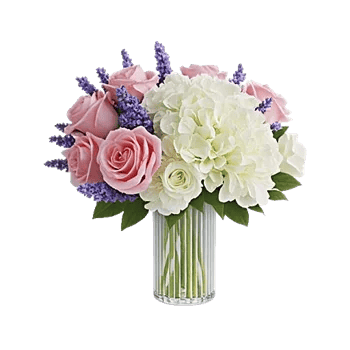 Pink Pastel Roses