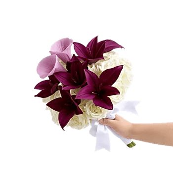 Elegant Calla Lilies