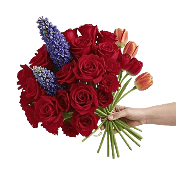 Coral Blossom Harmony