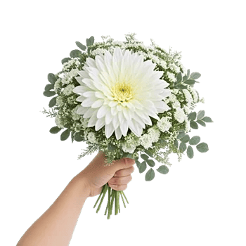 Minimalist White Orchids