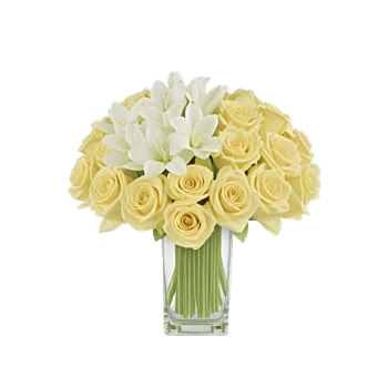 Ivory Blossom Radiance