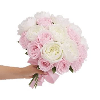 Peony Petal Harmony