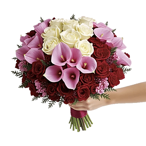 Elegant Calla Lilies