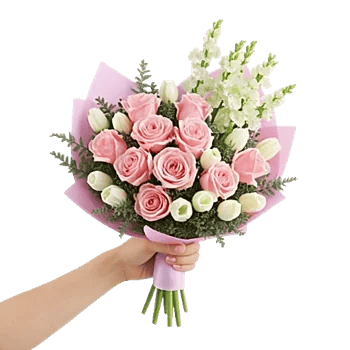 Pastel Pink Roses