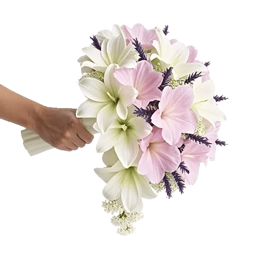 Delicate Petal Cascade