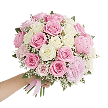 Pastel Pink Roses