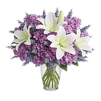 Lavender Bloom Grace
