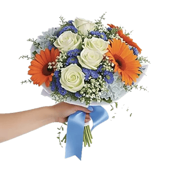 Serene Petal Harmony