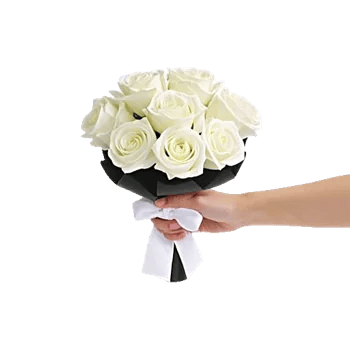 Ivory Garden Grace
