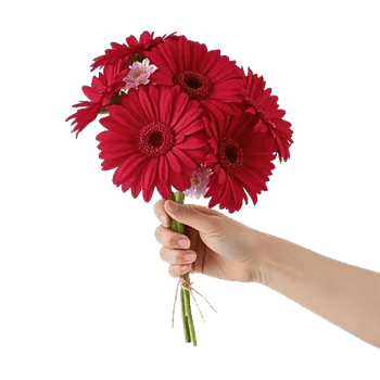 Petal Harmony Bliss